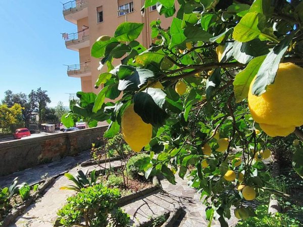 appartamento in vendita a Genova in zona Multedo
