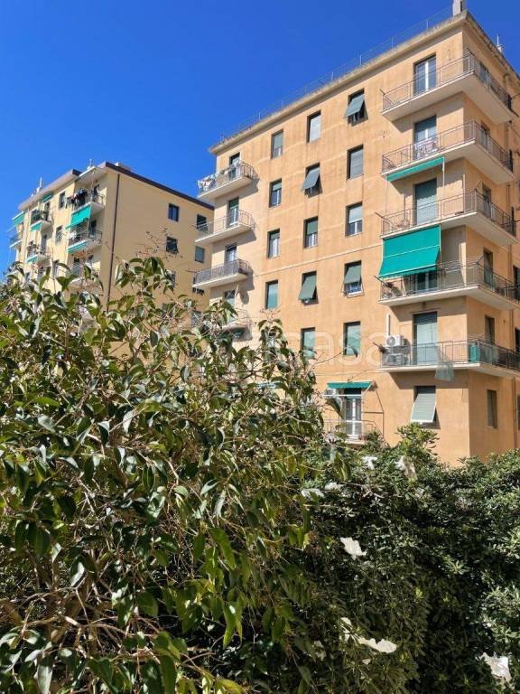 appartamento in vendita a Genova in zona San Martino