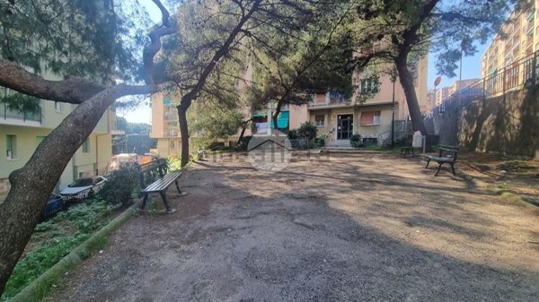 appartamento in vendita a Genova in zona Marassi