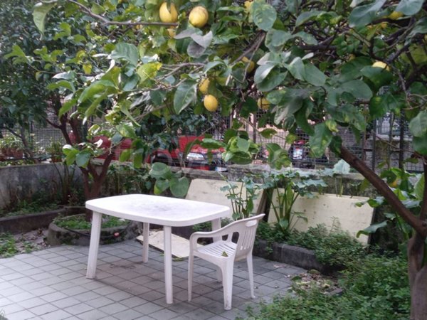 appartamento in vendita a Genova in zona Multedo