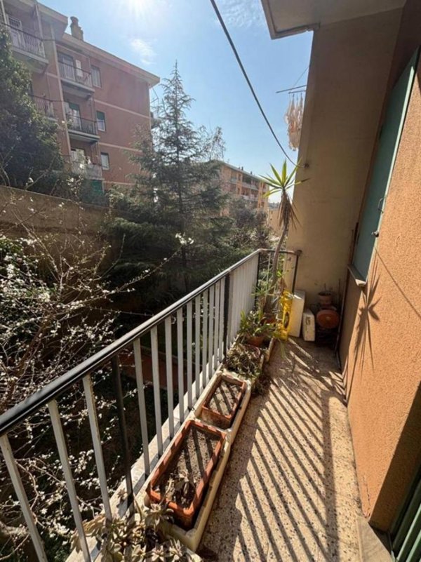 appartamento in vendita a Genova in zona Sampierdarena