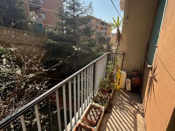 appartamento in vendita a Genova in zona Sampierdarena