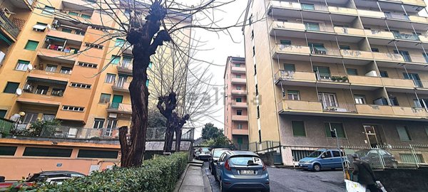 appartamento in vendita a Genova in zona Borzoli