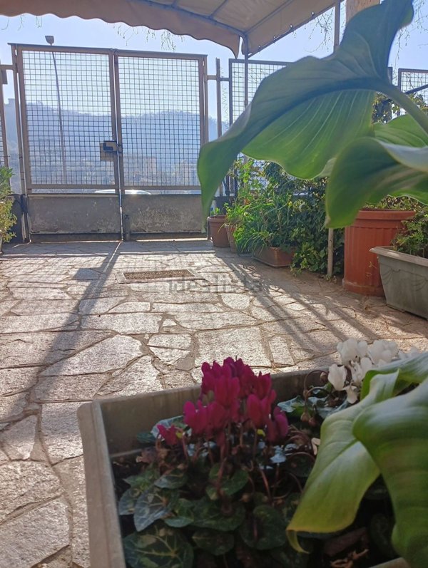 appartamento in vendita a Genova in zona Molassana