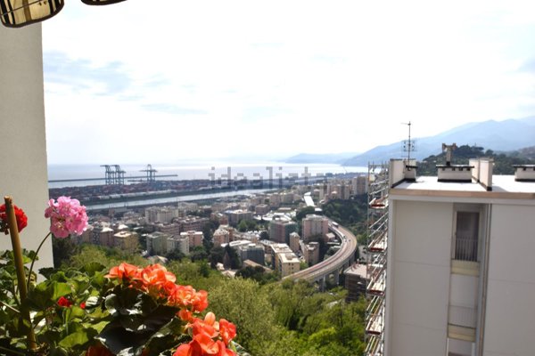appartamento in vendita a Genova in zona Palmaro / Pra'