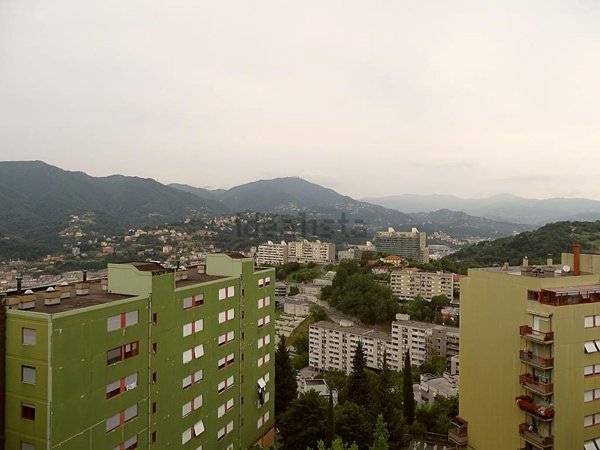 appartamento in vendita a Genova in zona Rivarolo
