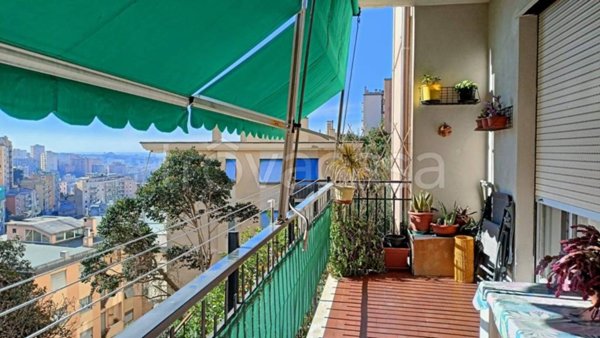appartamento in vendita a Genova in zona Marassi