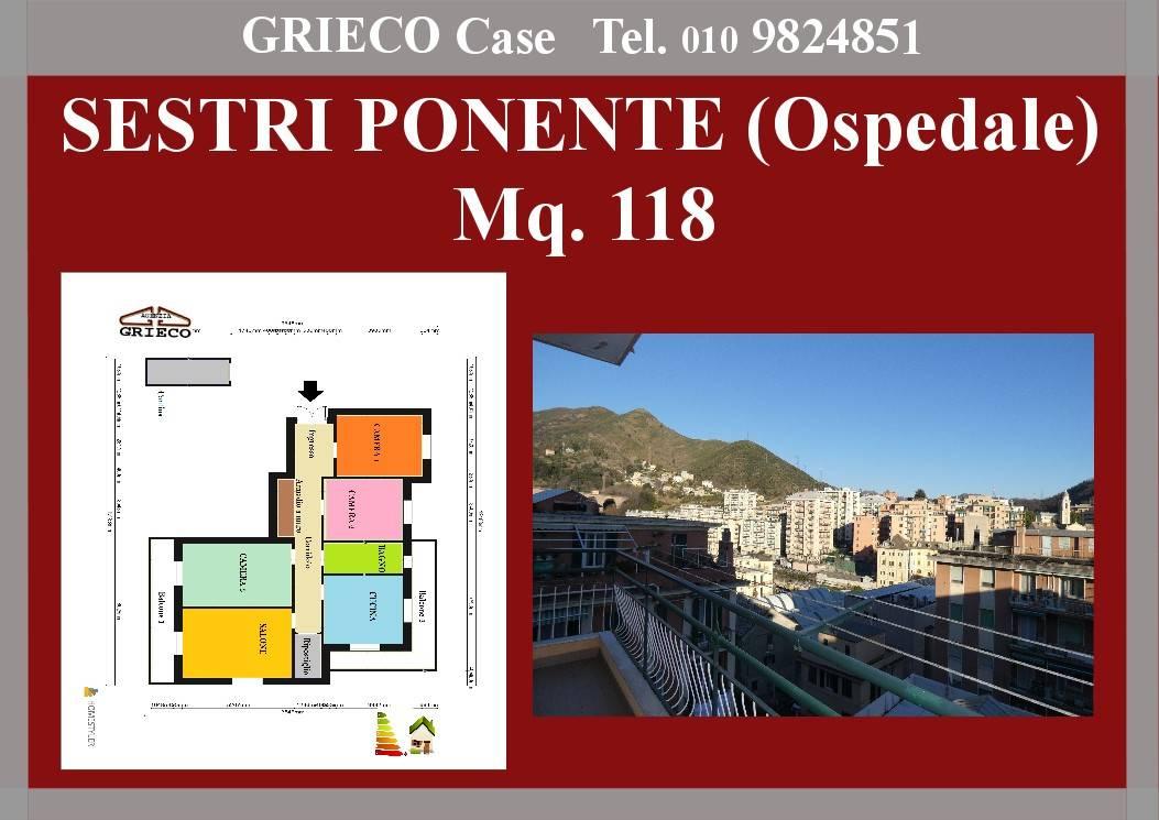 immagine annuncio 0 di 15