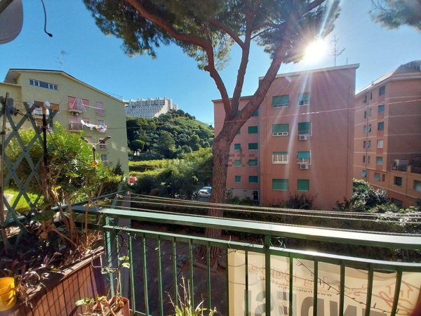 appartamento in vendita a Genova in zona Palmaro / Pra'