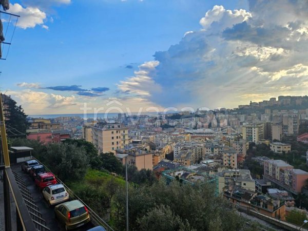 appartamento in vendita a Genova in zona Marassi