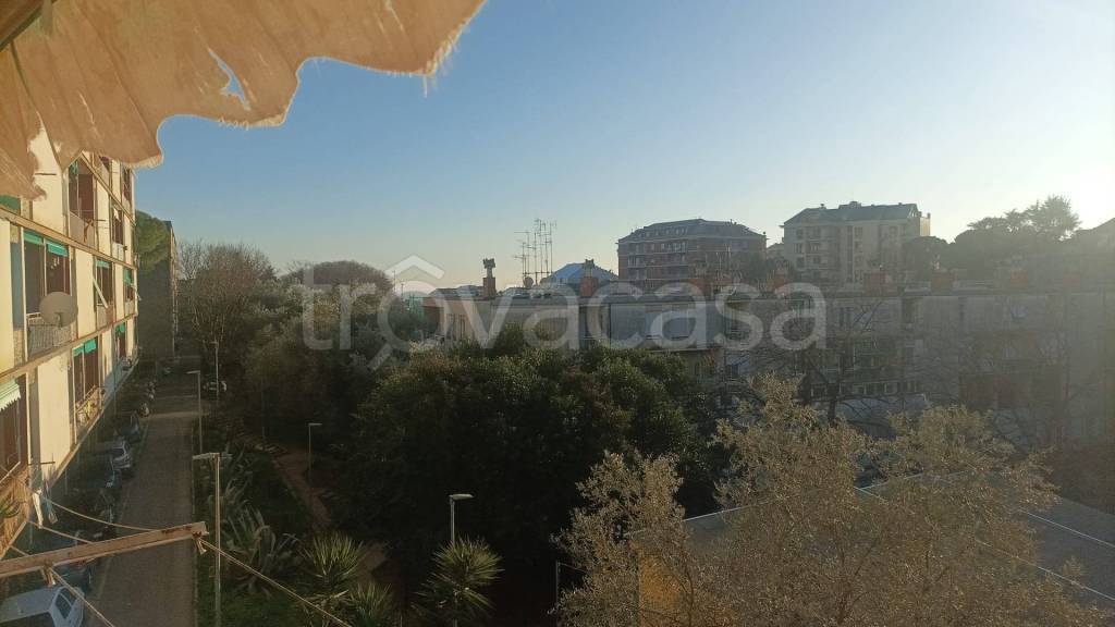 appartamento in vendita a Genova in zona Sturla
