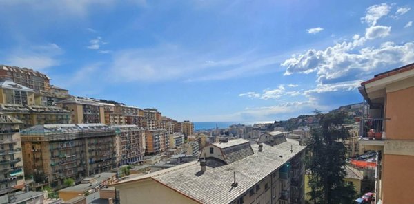 immagine annuncio 0 di 15