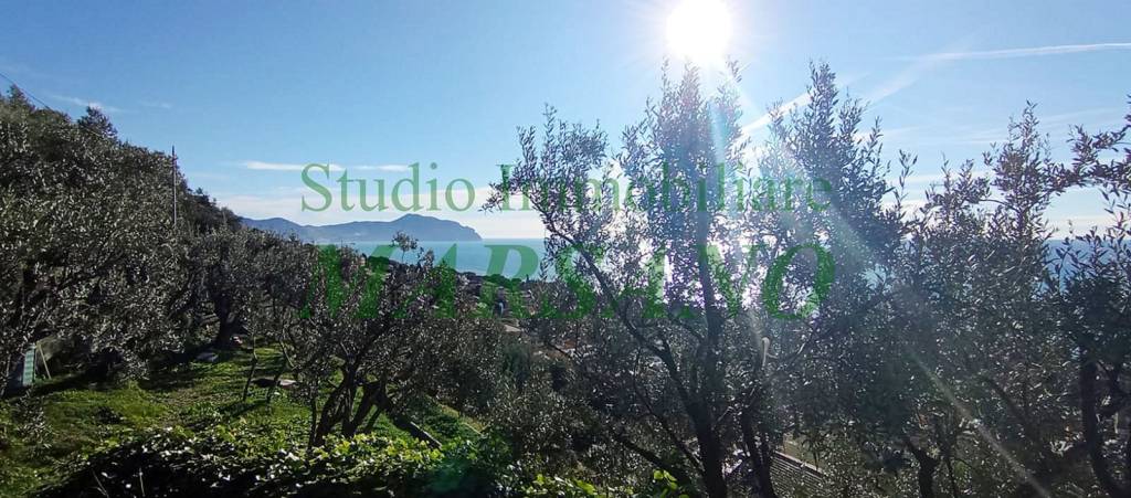 terreno agricolo in vendita a Genova in zona Nervi