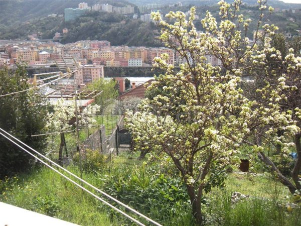appartamento in vendita a Genova in zona Bolzaneto