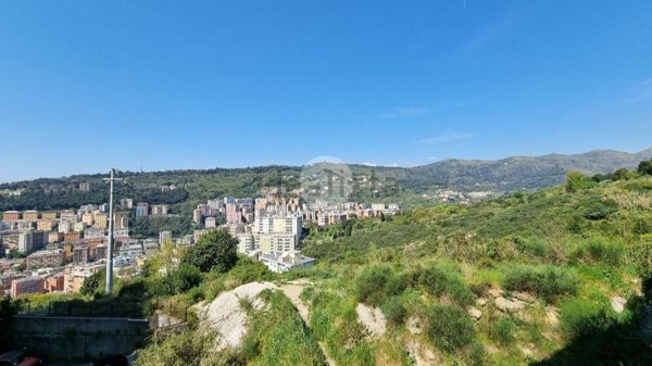 appartamento in vendita a Genova in zona Marassi