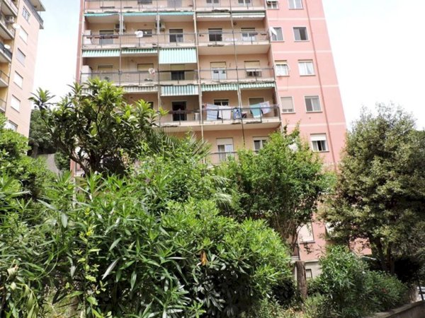 appartamento in vendita a Genova in zona Sampierdarena