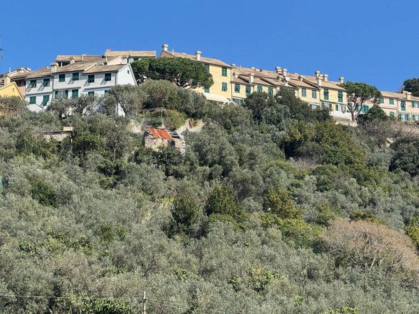 appartamento in vendita a Genova in zona Apparizione