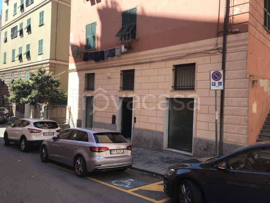 trivano in vendita a Genova in zona DiNegro