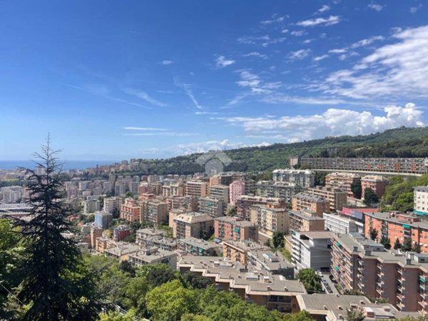 appartamento in vendita a Genova in zona Marassi