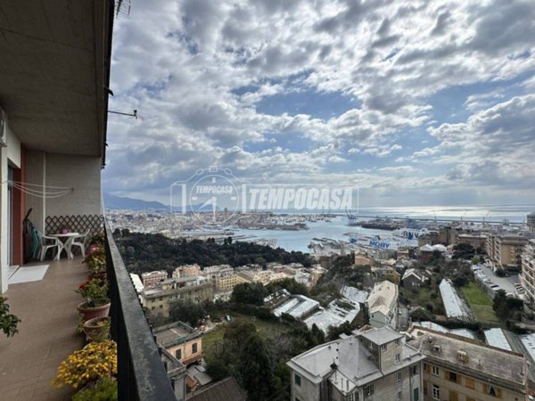 appartamento in vendita a Genova in zona Sampierdarena