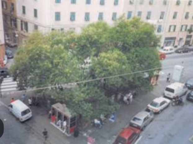 negozio in vendita a Genova in zona Sampierdarena