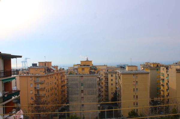 appartamento in vendita a Genova in zona Palmaro / Pra'