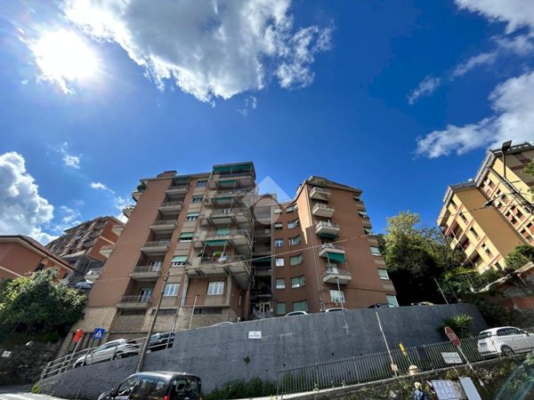 quadrivano in vendita a Genova in zona Pontedecimo