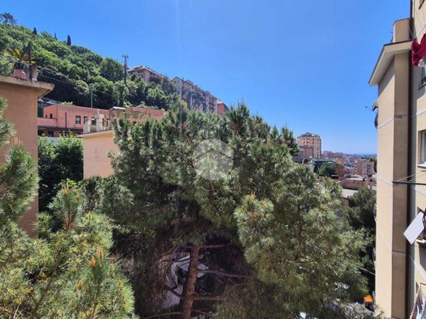 appartamento in vendita a Genova in zona Marassi