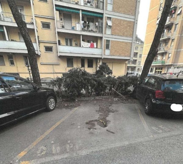 locale commerciale in vendita a Genova in zona Sottoripa / Maddalena / Molo