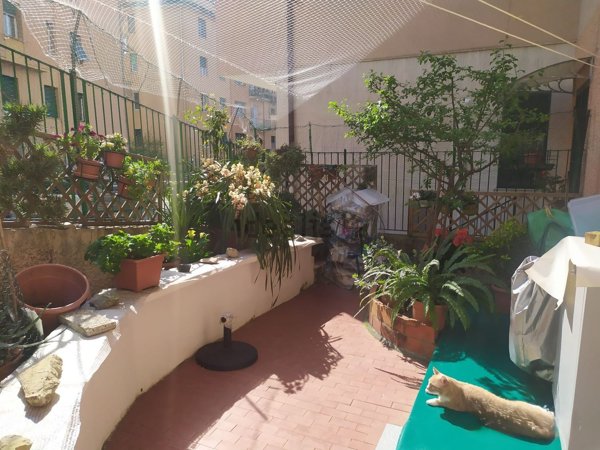 appartamento in vendita a Genova