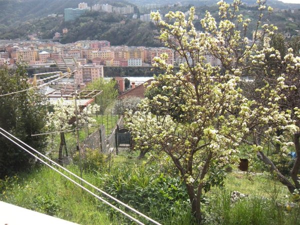 appartamento in vendita a Genova in zona Bolzaneto