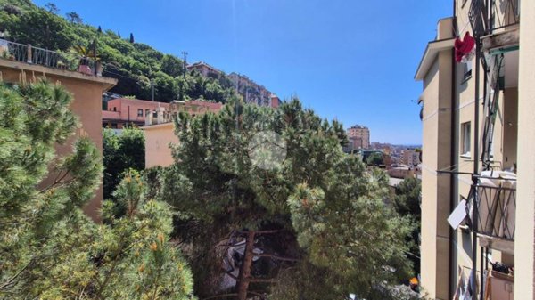 appartamento in vendita a Genova in zona Marassi