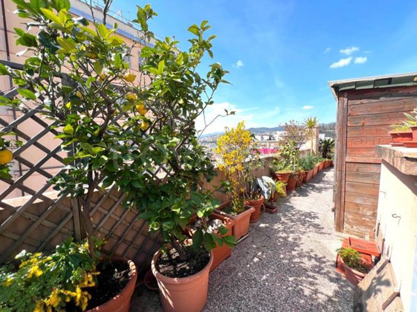 appartamento in vendita a Genova in zona San Martino