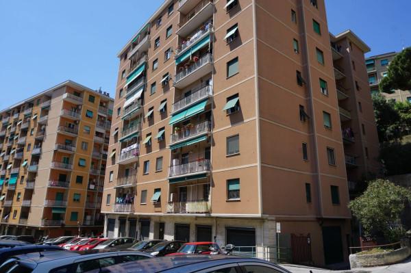 appartamento in vendita a Genova in zona Sampierdarena