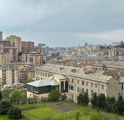 appartamento in vendita a Genova in zona Marassi