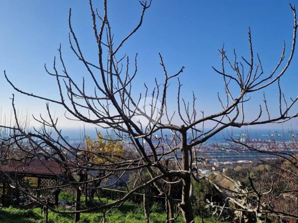 casa indipendente in vendita a Genova in zona Multedo
