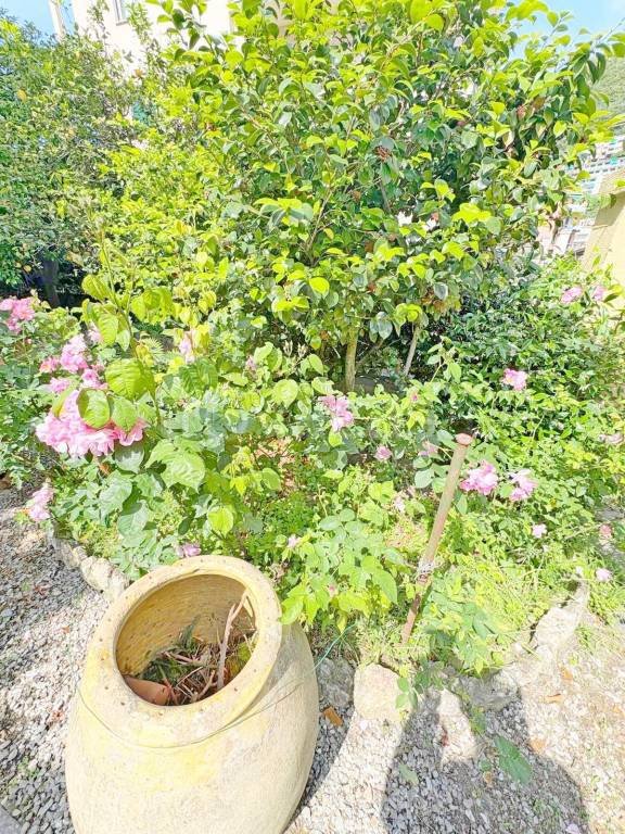 appartamento in vendita a Genova in zona Nervi