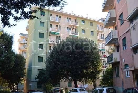 appartamento in vendita a Genova in zona Cornigliano