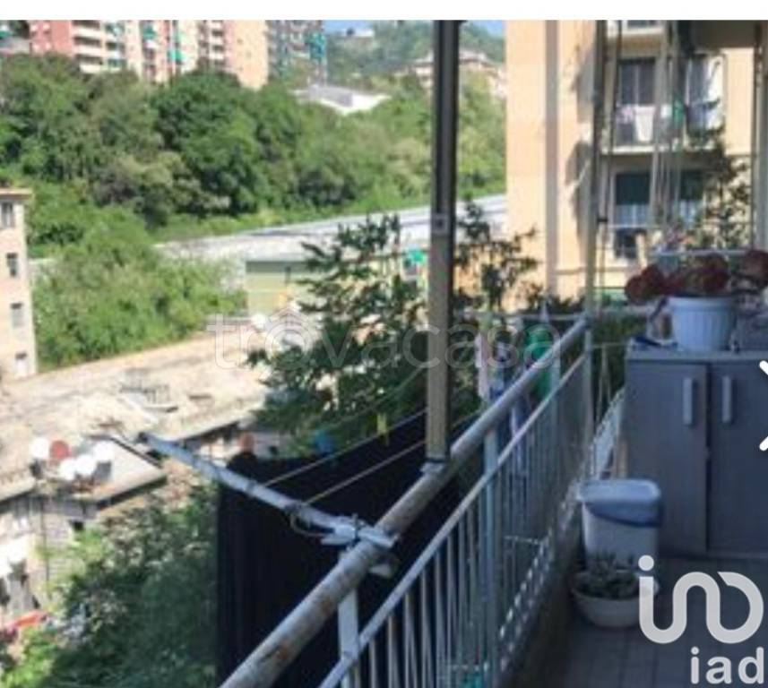 appartamento in vendita a Genova in zona Sampierdarena