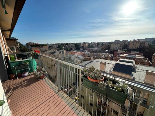 appartamento in vendita a Genova in zona Sturla