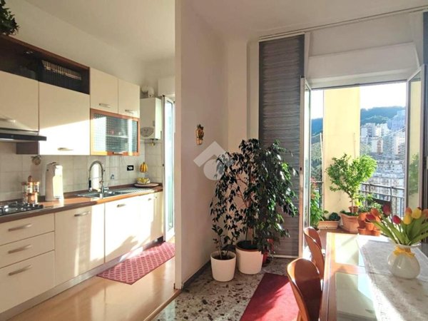 appartamento in vendita a Genova in zona Lagaccio / Granarolo