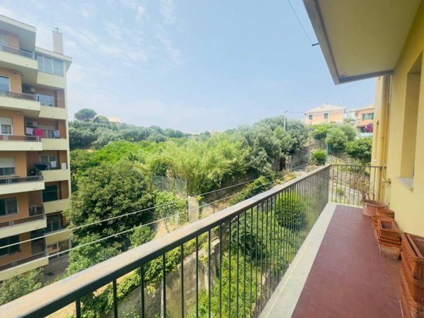 appartamento in vendita a Genova in zona Sampierdarena