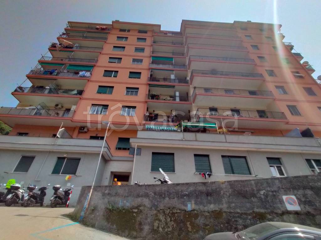appartamento in vendita a Genova in zona Quezzi