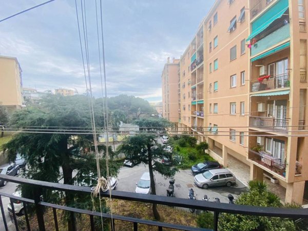 appartamento in vendita a Genova in zona Sampierdarena