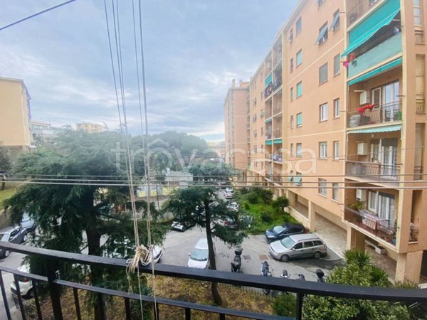 appartamento in vendita a Genova in zona Sampierdarena