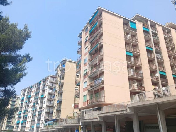 appartamento in vendita a Genova in zona Marassi