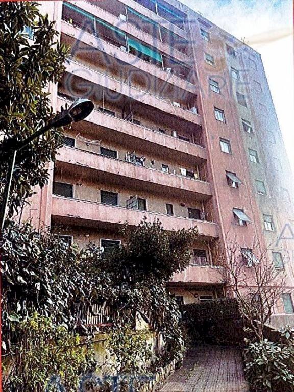 appartamento in vendita a Genova in zona Marassi