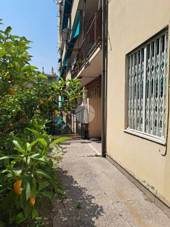 appartamento in vendita a Genova in zona Staglieno
