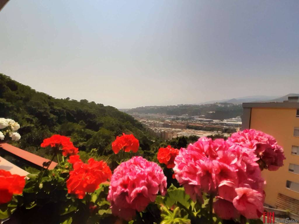 appartamento in vendita a Genova in zona Sampierdarena