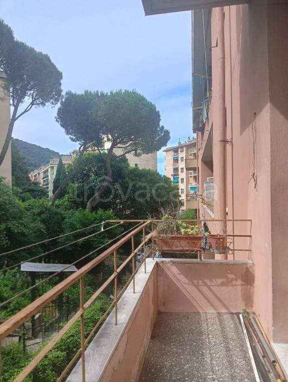 appartamento in vendita a Genova in zona Molassana